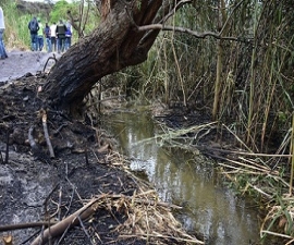 Campaña para proteger el río Pamplonita
